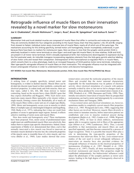 Retrograde Influence of Muscle Fibers on Their Innervation Revealed by a Novel Marker for Slow Motoneurons Joe V