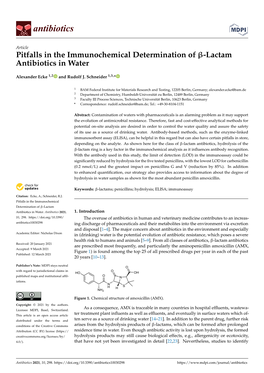 Lactam Antibiotics in Water