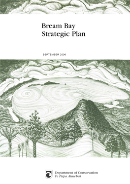 Bream Bay Strategic Plan 2006