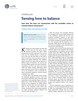 Sensing How to Balance