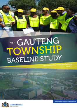 GAUTENG TOWNSHIP BASELINE STUDY Case Studies: Ekurhuleni and Sedibeng2016/17 CONTENTS