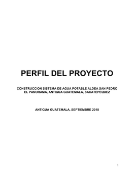 Perfil Del Proyecto