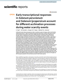Early Transcriptional Responses in Solanum Peruvianum and Solanum Lycopersicum Account for Diferent Acclimation Processes During Water Scarcity Events G