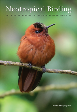 Neotropical Birding 21: 21–24), and an Offshore Islands and Antarctic Peninsula in Relief