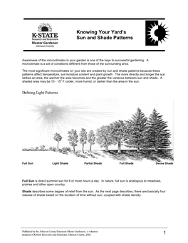 Knowing Your Yard's Sun and Shade Patterns