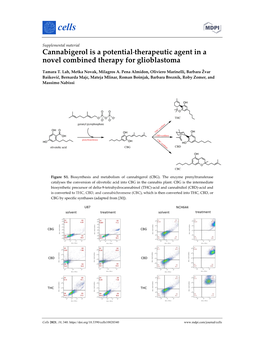 Cannabigerol Is a Potential Therapeutic Agent in a Novel Combined Therapy for Glioblastoma