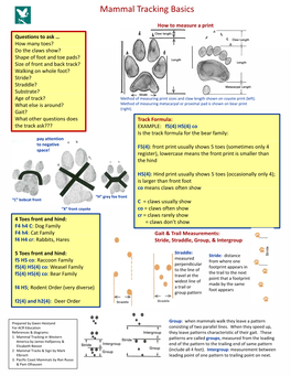 Mammal Tracking Basics