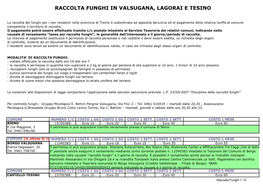 Raccolta Funghi in Valsugana, Lagorai E Tesino