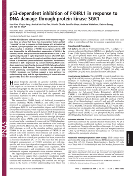 P53-Dependent Inhibition of FKHRL1 in Response to DNA Damage Through Protein Kinase SGK1