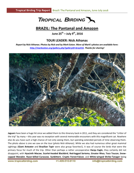 Brazil: the Pantanal and Amazon, June-July 2016