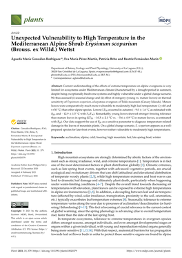 Unexpected Vulnerability to High Temperature in the Mediterranean Alpine Shrub Erysimum Scoparium (Brouss
