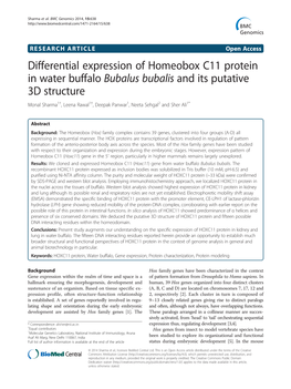 Differential Expression of Homeobox C11 Protein in Water Buffalo