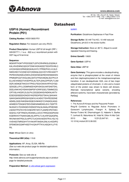 USP16 (Human) Recombinant Protein (P01)