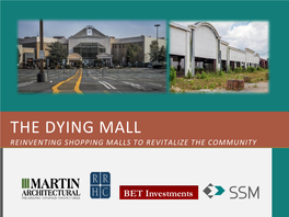 The Dying Mall Reinventing Shopping Malls to Revitalize the Community the Dying Mall