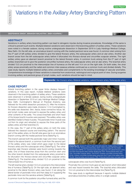 Variations in the Axillary Artery Branching Pattern Anatomy Section