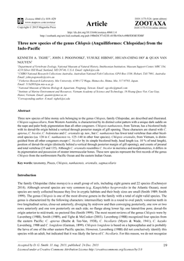 Three New Species of the Genus Chlopsis (Anguilliformes: Chlopsidae) from the Indo-Pacific