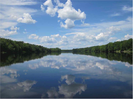 Penobscot River Restoration Effort Takes Giant Leap Forward – Maine Public Radio, Dec 20, 2010