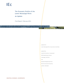 Economic Profile of the Lower Mississippi River: an Update