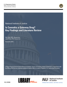 Is Cannabis a Gateway Drug? Key Findings and Literature Review