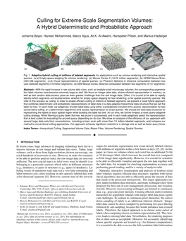 Culling for Extreme-Scale Segmentation Volumes:A Hybrid