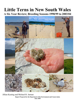Little Terns in New South Wales a Six Year Review; Breeding Seasons 1998/99 to 2003/04