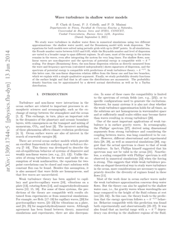 Wave Turbulence in Shallow Water Models