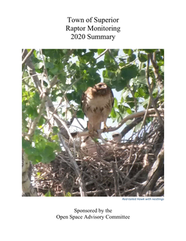 Town of Superior Raptor Monitoring 2020 Summary