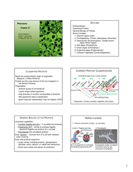 Motility in Protists Locomotor Organelles 1