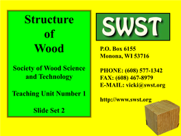 Structure of Wood P.O