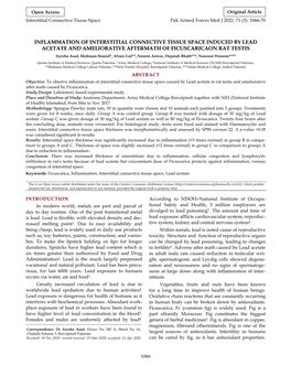 Inflammation of Interstitial Connective Tissue Space Induced By