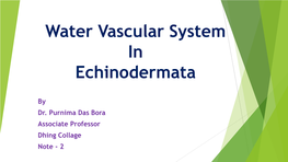 Water Vascular System in Echinodermata