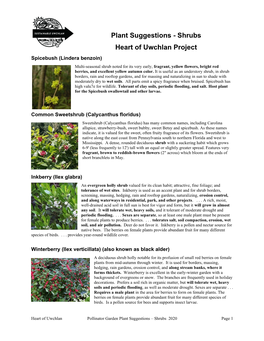 Heart of Uwchlan Pollinator Garden Plant Suggestions – Shrubs 2020 Page 1