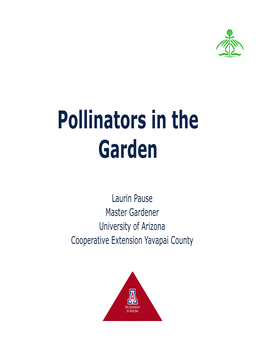 Pollinators in the Garden