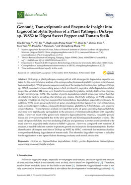 Genomic, Transcriptomic and Enzymatic Insight Into Lignocellulolytic System of a Plant Pathogen Dickeya Sp