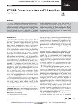 FOXM1 in Cancer: Interactions and Vulnerabilities Andrei L