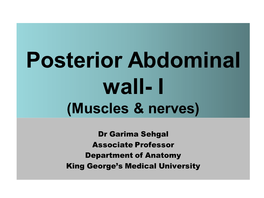 Posterior Abdominal Wall- I (Muscles & Nerves)