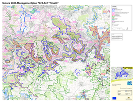Natura 2000-Managementplan 7423-342 "Filsalb"