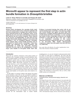 Microvilli Appear to Represent the First Step in Actin Bundle Formation in Drosophila Bristles