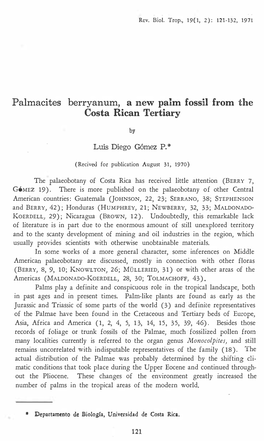 Palmacites Berryanum, a New Palm Fossil from the Costa Rican Tertiary