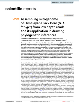 Assembling Mitogenome of Himalayan Black Bear (U. T. Laniger