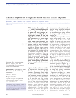 Circadian Rhythms in Biologically Closed Electrical Circuits of Plants