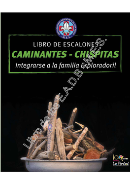 Libro De Escalones - Caminantes Y Chispitas