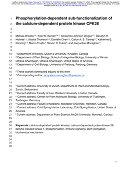 Phosphorylation-Dependent Sub-Functionalization of the Calcium-Dependent Protein Kinase CPK28