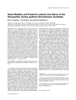 Swim Bladder and Posterior Lateral Line Nerve of the Nurseryfish