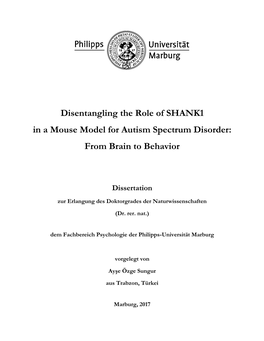 Disentangling the Role of SHANK1 in a Mouse Model for Autism Spectrum Disorder: from Brain to Behavior