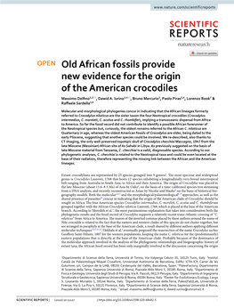 Old African Fossils Provide New Evidence for the Origin of the American Crocodiles Massimo Delfno1,2*, Dawid A