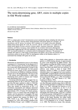 The Testis-Determining Gene, SRY, Exists in Multiple Copies in Old World Rodents