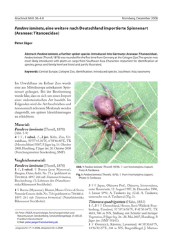 Pandava Laminata, Eine Weitere Nach Deutschland Importierte Spinnenart (Araneae: Titanoecidae)