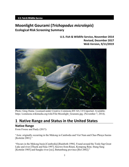 Moonlight Gourami (Trichopodus Microlepis) Ecological Risk Screening Summary
