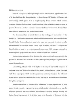 Division: Ascomycota Division Ascomycota Is the Largest Fungal
